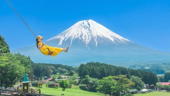 Mount Fuji Day Trip from Tokyo: Instagram-Famous Spot Hopping | Arakurayama Sengen Park&Hikawa Clock Shop&Oshino Hakkai&Kawaguchiko Lawson&Lake Kawaguchi Oishi Park