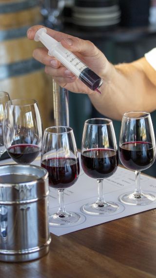 Afternoon wine tasting tour in Perth's Swan Valley [3 wineries + craft brewery + chocolate]