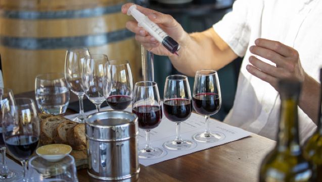 Дневной тур с дегустацией вин в Перте, Австралия: 3 винодельни, пивоварня крафтового пива и шоколад в Суон Вэлли