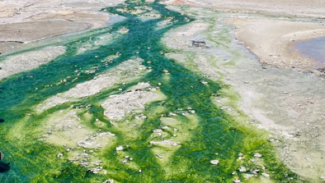美國+鹽湖城+黃石國家公園+牽牛花池一日遊/行程可調-可定制