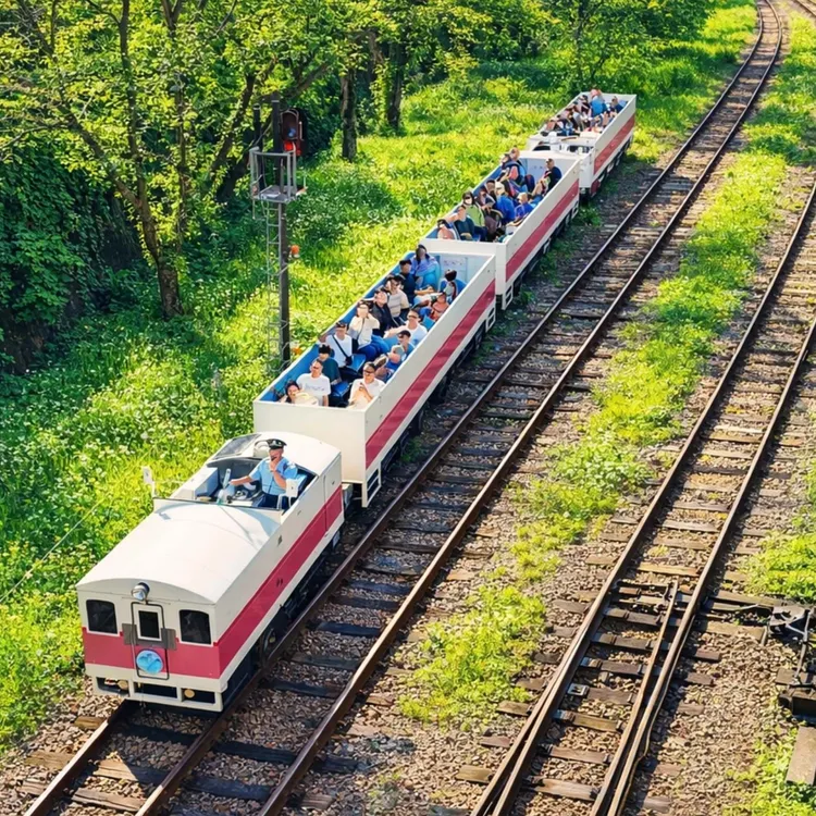 熊本宮崎九州高千穂峡オプショナル遊覧船・天空小火车・阿蘇山草千里