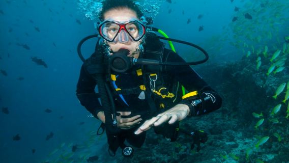 初心者向けスキューバダイビングツアー（動画付き）
