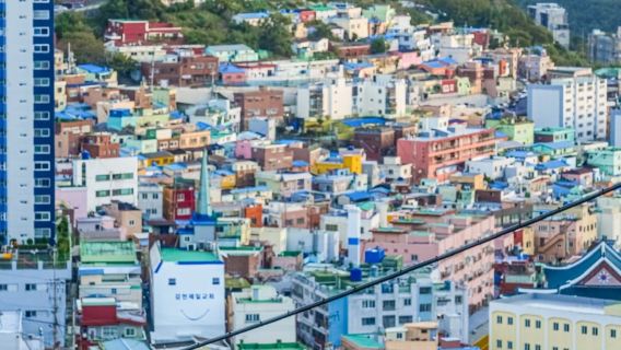 韓國釜山-經典景點/精品包車之旅&中文/英文/地陪/導遊/導覽服務