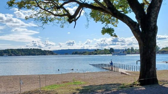 Noruega - Oslo: Excursión de isla en isla por el paisaje del fiordo (viaje organizado)