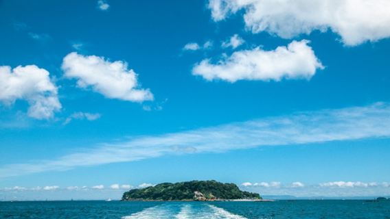 ¡Excursión de un día a la "exploración de la isla desierta Saru" y al "recorrido por el puerto militar de Yokosuka"!