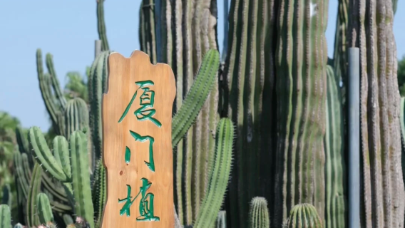 Xiamen Zhonggu Cableway self-guided tour | Attraction admission ticket + guide · Multiple packages optional