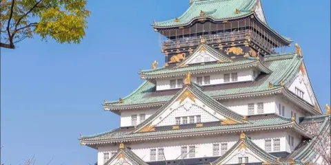 日本大阪關西機場/火車站/點對點接送/訂製包車