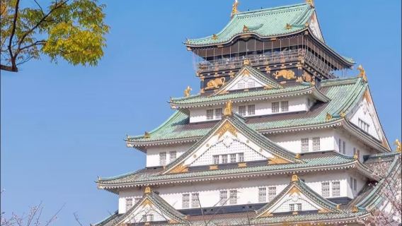 Trasferimento punto a punto da/per l'aeroporto/stazione di Kansai a Osaka, Giappone | Noleggio con conducente esclusivo personalizzato