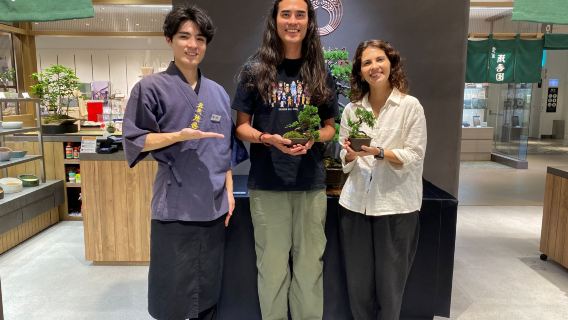 150 års gamle butik japansk bonsai DIY, nemt for begyndere | Direkte forbindelse til Tokyo Station
