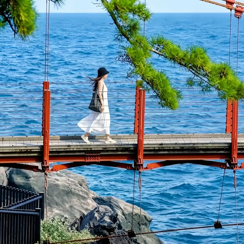Japan Tokyo Izu 1-day tour: Mt. Omuro + zoo + scenic train