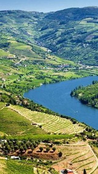 1-day tour to Douro Valley wine region in Portugal with winery visit, wine tasting and cruise | optional activities available