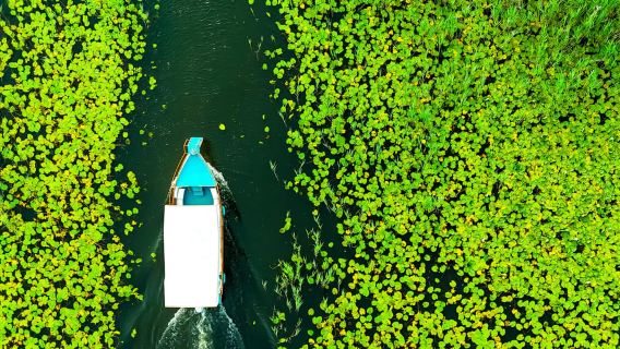 ¡Descubre el Lago Skadar: Exclusivo tour en barco con guía y halcón!