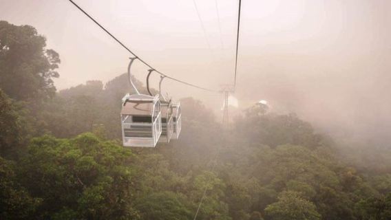 Dagsudflugt med transport fra San José til Monteverdes tågeskov i Costa Rica