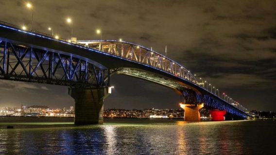 Auckland Night Lights Cruise with Welcome Drink & Canape's