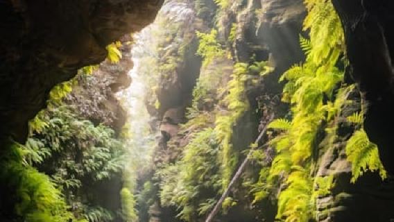 Blue Mountains Active Hike Tour from Sydney: No Rides