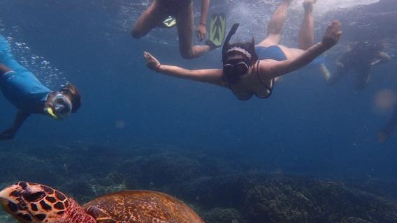 From Uppuveli Beach: Pigeon Island Snorkeling Tour