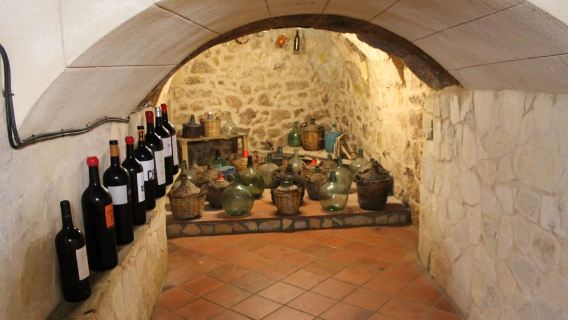 Aranda de Duero: Tour de una Bodega Subterránea y el Museo del Vino