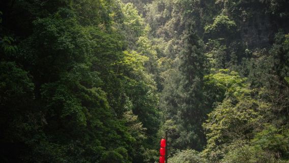 [ChinaGem] From Chongqing: UNESCO Wulong Secret Land Full-Day Private Tour w/ Private Car