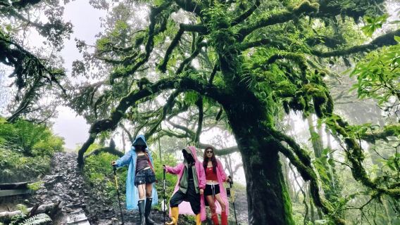 騰衝高黎貢山徒步【毛毛球山脊3/6/9公里+荒野廚房BBQ】