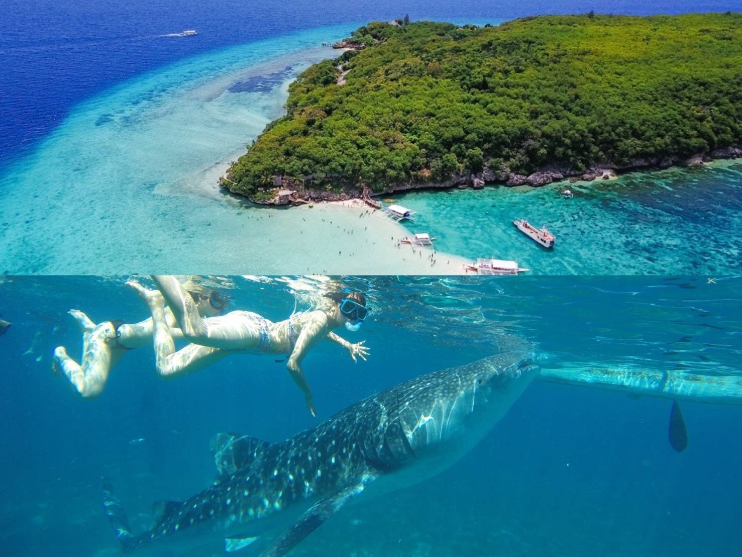 絶対に行くべきオスロブの観光スポット トリップドットコム