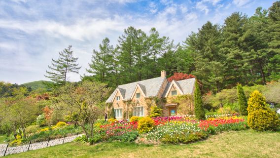 한국 서울 남이섬 + 아침고요수목원 1일 투어 (서울 출발 전용차량 픽업)