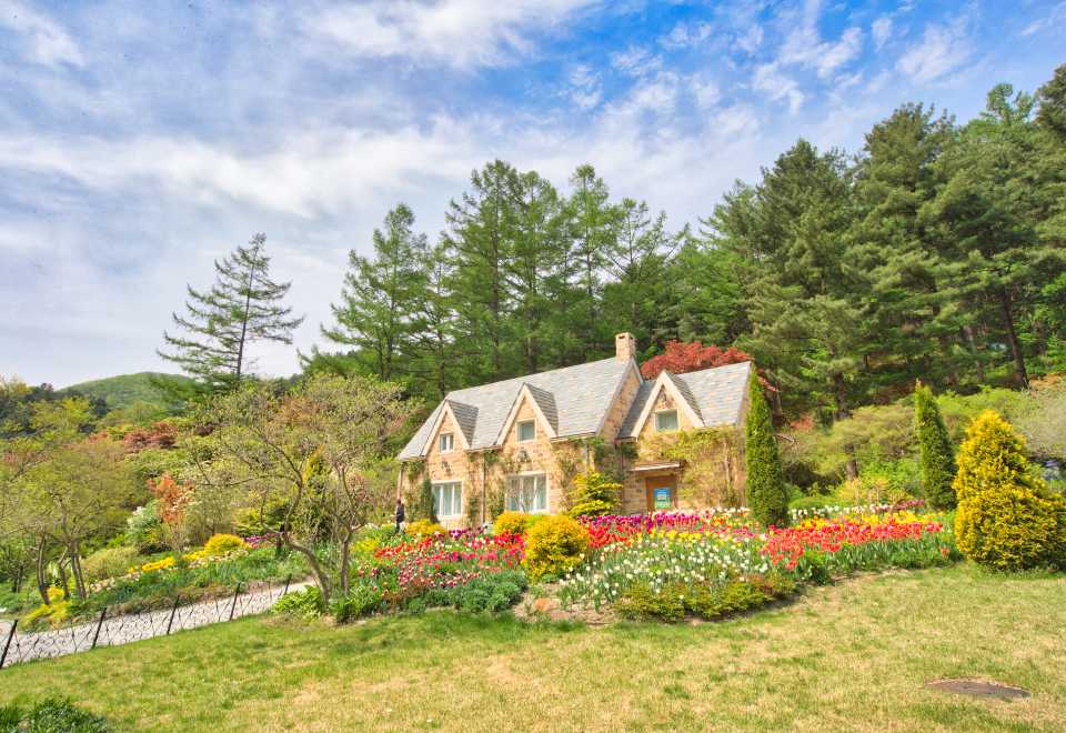 Nami Island & The Garden of Morning Calm Full-Day Tour (From Seoul) – Guided Tour