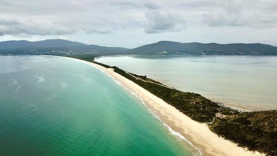 Bruny IslandTours