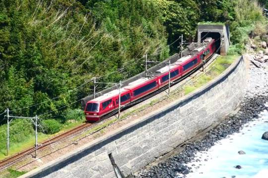 [Izu Kyuko Line 1/2/3 Days] Electronic Ticket ●Unlimited rides on Plateau Atagawa Inatorikawazu Shimoda Shizuoka