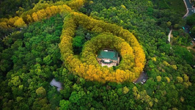 南京總統府+牛首山文化旅遊區+中山陵景區+美齡宮陵園路+夫子廟