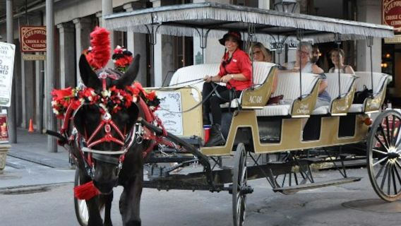 French Quarter by Mule Drawn Carriage: 60-Minute Tour