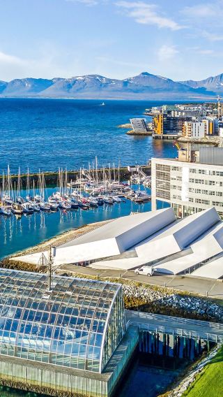 Fjord Town + Sommaroy Cruise Day Tour [Private Charter Service]