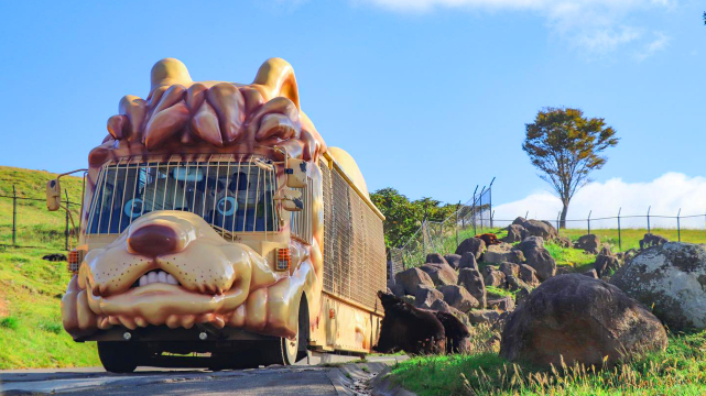one-day tour of Kyushu Zoo in Oita,Ghibli Town & Animal