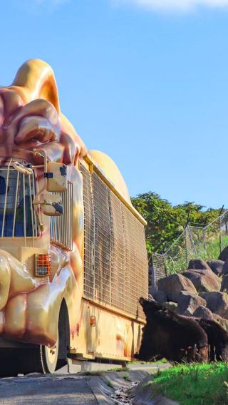 1-day tour to Kyushu Wildlife Park African Safari in Oita, Japan: Anime fairy tale town · Animal interaction journey