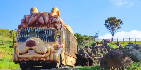 日本大分九州自然動物園一日遊:動漫童話小鎮&動物互動之旅