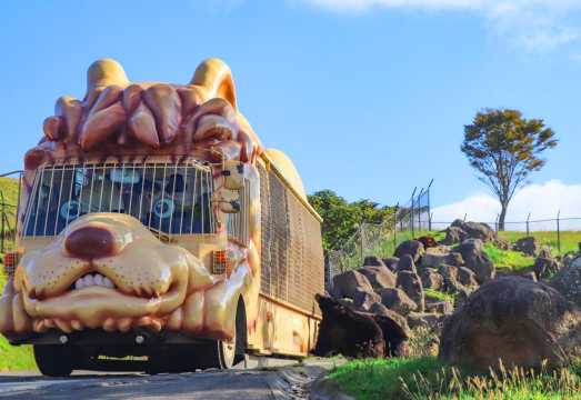 one-day tour of Kyushu Zoo in Oita,Ghibli Town & Animal Interaction Tour