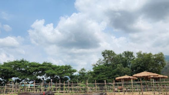 Chiang Mai Secret Elephant Sanctuary + Sticky Waterfall one-day tour