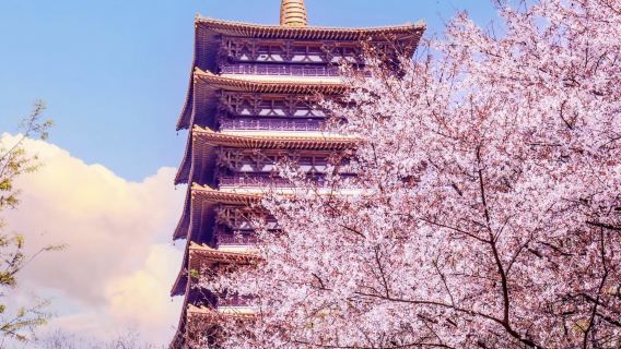 Confucius Temple + Wuyi Lane + Qinhuai River + Bailuzhou + Jiangnan Gongyuan + Gan Family Courtyard one-day tour