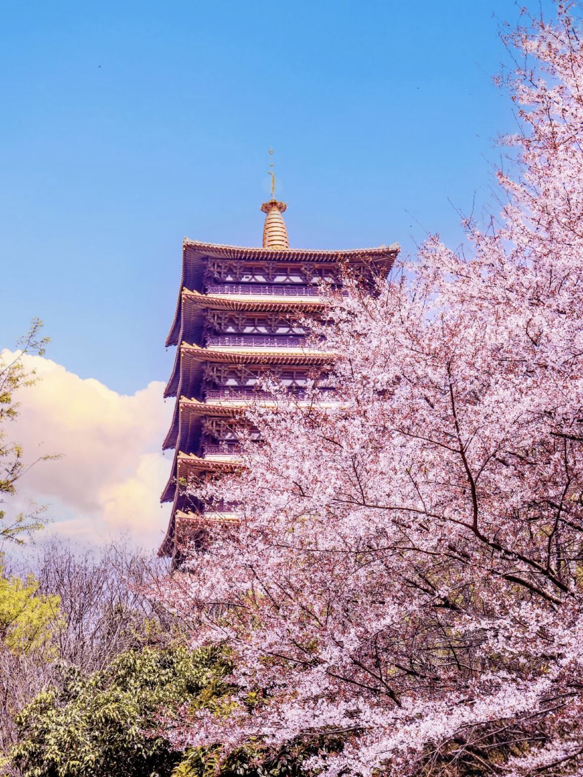 1-day tour of Nanjing Confucius Temple + Wuyi Alley + Qinhuai River + Bailuzhou + Imperial Examination Museum of China + Gan Family Courtyard G