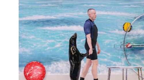 Dubai Attraction: Dubai Dolphinarium Day Tours 1