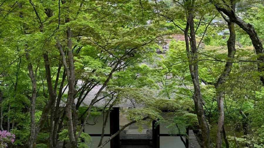 日本京都嵐山+三千院+琉璃光院一日遊/行程可調-可客製化多日遊