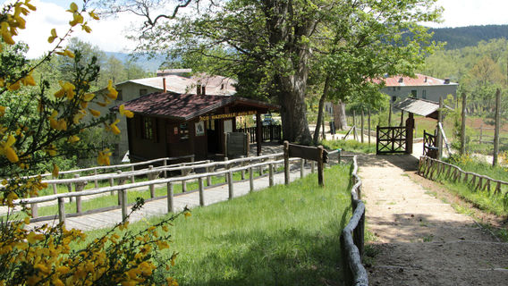 Spezzano della Sila