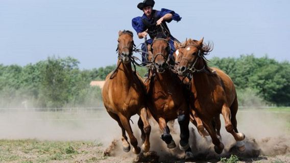 Puszta Full-Day Tour from Budapest including Horse Show & Lunch