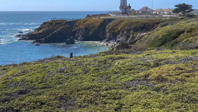 美國一號公路舊金山-洛杉磯全路段/行程靈活客製化/諮詢享減