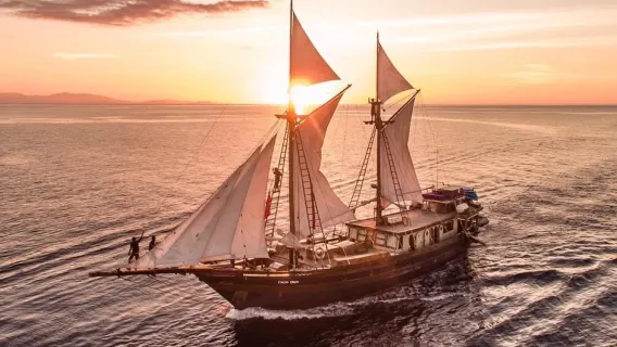 Komodo National Park 8 Attractions one-day tour /Liveaboard/Pink Beach