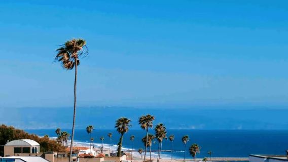 美國洛杉磯一日遊包車~蓋蒂中心-聖莫尼卡海灘【精選老司機】