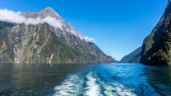 New Zealand Queenstown berlepas: Milford Sound️ lawatan sewa peribadi 12h [tidak termasuk tiket masuk]