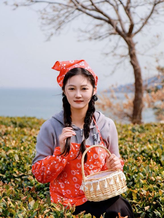 嶗山採茶＋青山漁村＋趕海一日遊【醉美環海公路＋提供採茶裝備】