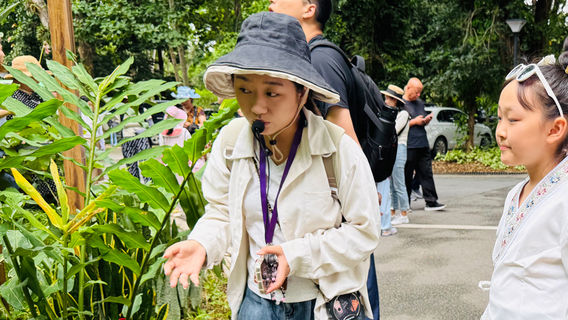 JinghongTours