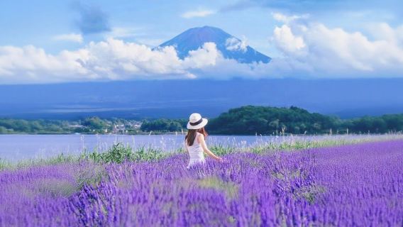 TokyoTours