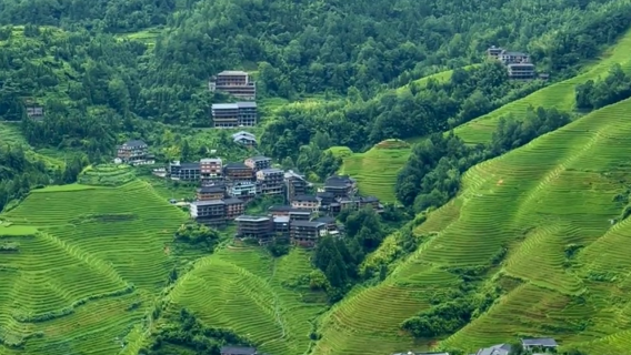Privédagtour naar de rijstterrassen van Guilin Longji met ophalen en afzetten